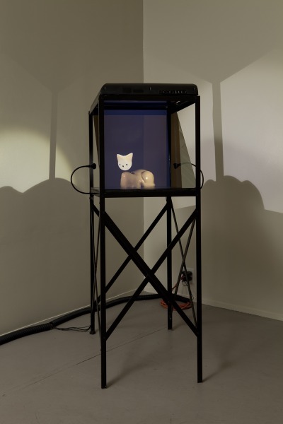 Cat AC_I_See_Catastrophes_47_Cat_1